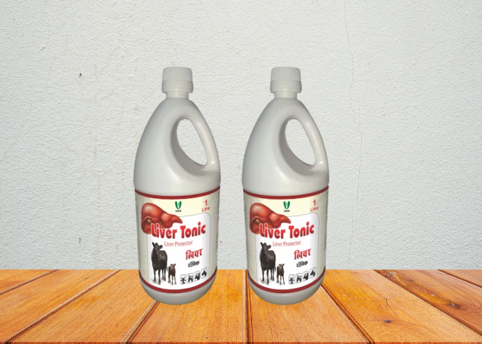 Animal Feed Supplements Manufacturer in India