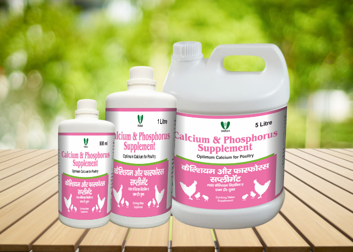 Poultry Feed Supplements Manufacturer in India